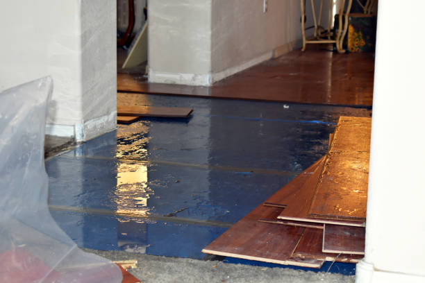 Professional Burst Pipe Cleanup technician working in Walpole, MA